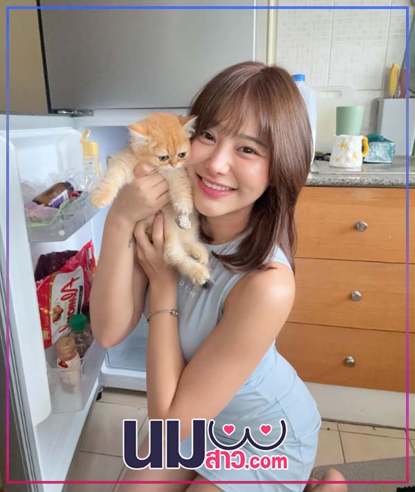 Mintchy Meow 11